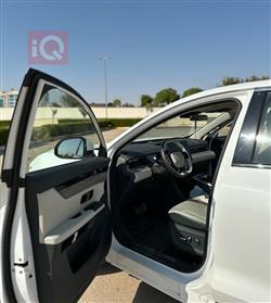 جيتور داشينج